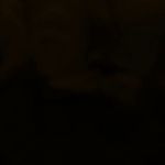 کلبه پوست لاوین