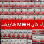 فروشگاه لوازم برق اتومبیل آزادآور