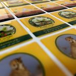 برندیس مارک