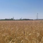 حسینه امام خمینی خیارج