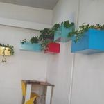 پیتزا سپیدال