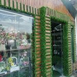 آقای چمن