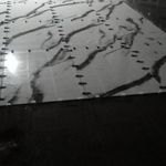 ایرج کریمی نیا