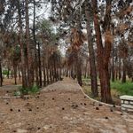 بوستان بانوان چیتگر ریحانه