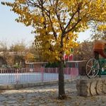 بوستان بانوان چیتگر ریحانه
