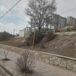 پارک آویشن