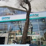 بیمه دی
