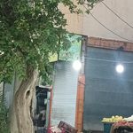 دوزندگی ولی عصر