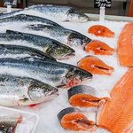 مرغ و ماهی سرداب