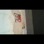 ولی حامدی نسب