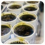 رستوران کبابی سيد