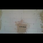 ولی حامدی نسب