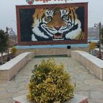 دهکده طبیعت قزوین  باراجین 
