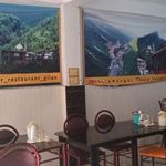 رستوران سالار شهرک چوبی