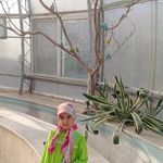 دهکده طبیعت قزوین  باراجین 
