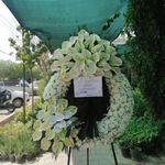 گل فروشی رضوان