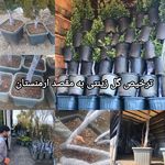 بازرگانی امید به فردای آستارا