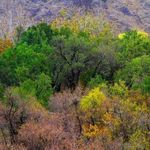 روستای اسحاق آباد