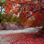 روستای اسحاق آباد
