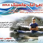 کیک بوکسینگ