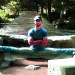 کیک بوکسینگ