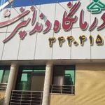 مجتمع مسکونی نور