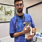 کلینیک دامپزشکی پت لند