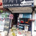 آکواریوم امپراطور