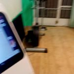 شهرزاد ایکس بادی