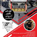 باشگاه ولف باغ‌میشه