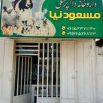 داروخانه مسعودنیا