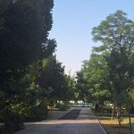 سرویس بهداشتی بوستان شاهد