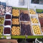میوه فروشی حامد رضایی