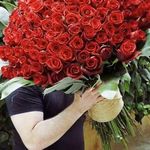 گل کفشدوزک