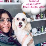 پت شاپ و آرایشگاه حیوانات مهندس گمشادزهی