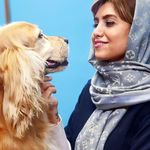 کلینیک دامپزشکی تخصصی نیک پلاس