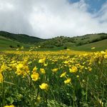 مسجد باب الحوایج نیارق