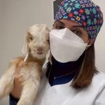 کلینیک دامپزشکی تخصصی نیک پلاس