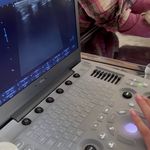 کلینیک دامپزشکی تخصصی نیک پلاس