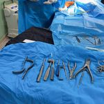 کلینیک دامپزشکی تخصصی نیک پلاس