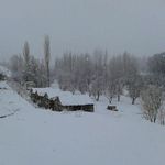 باغ بومی گردی و تفریحی گمبیل