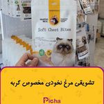 پت شاپ پیچا