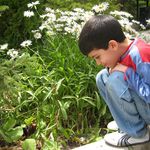 آموزشگاه زبان دانش ارم (شکوه اندیشه)