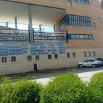 هنرستان فضیلی