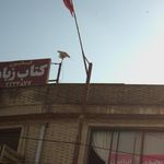 کانون کتاب  زبان