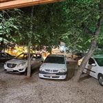 باغ پیتزا آتا