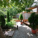 باغ پیتزا آتا