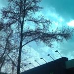 بالسا