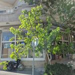 ابزار فروشی واچیک