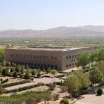 دانشگاه ملایر